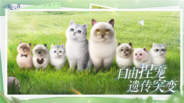 以闪亮之名体验服免费版本