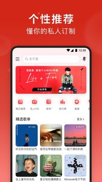 iOS网易云VIP破解版下载最新版